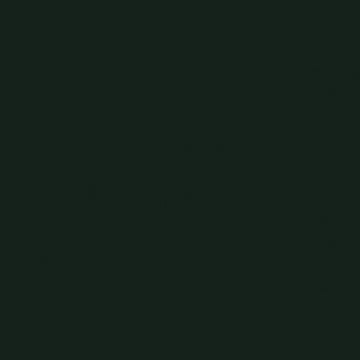 Little Greene - 216 - Obsidian Green